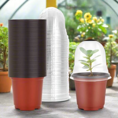Pot de fleur micro-serre Dome transparent