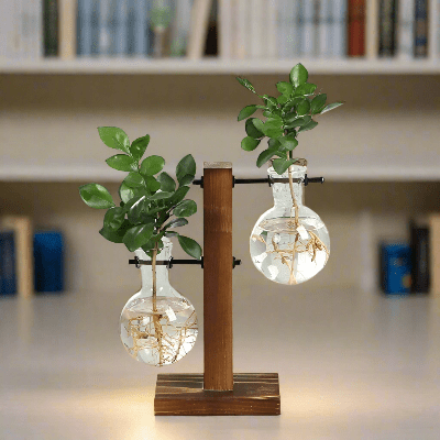 Vase à ampoule | Bulbe™ - JardinPam