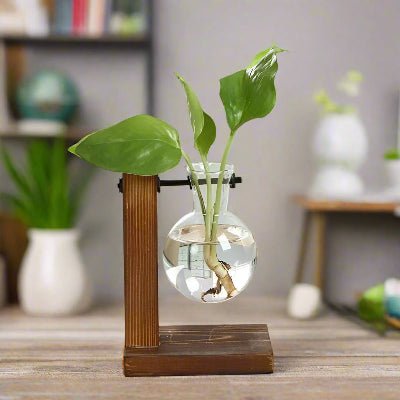 Vase à ampoule | Bulbe™ - JardinPam