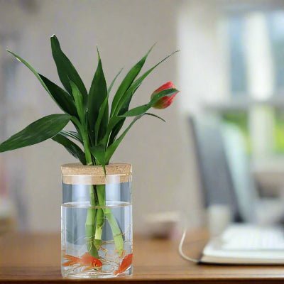 Vase jardin aquatique | Aquaverre™ - JardinPam