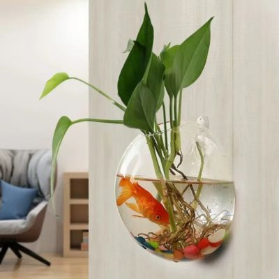vase mural en verre transparent | Murvert™ - JardinPam