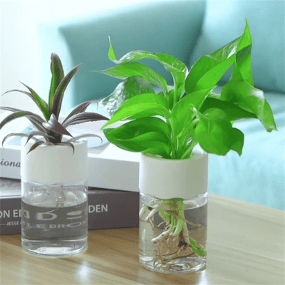 Pot de fleur Hydromini™ Pot transparent