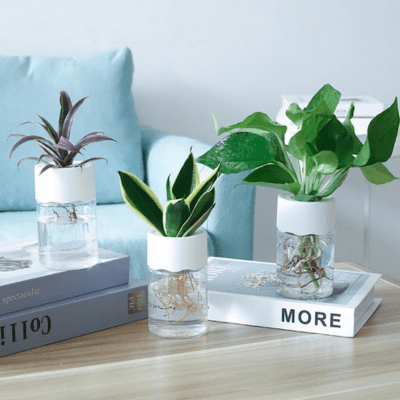 Pot de fleur Hydromini™ Decoration salon