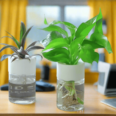 Pot de fleur Hydromini™ Décoration bureau