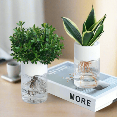 Pot de fleur Hydromini™ - Jardin éducatif