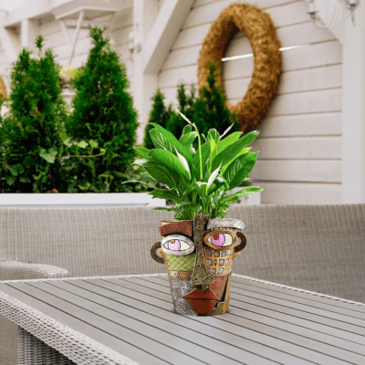 Pot de fleur tête d'art | Picasso™ - JardinPam