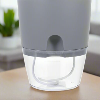 Pot de fleur transparent à arrosage automatique | Podor™ - JardinPam