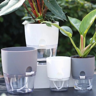 Pot de fleur transparent à arrosage automatique | Podor™ - JardinPam