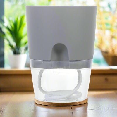 Pot de fleur transparent à arrosage automatique | Podor™ - JardinPam