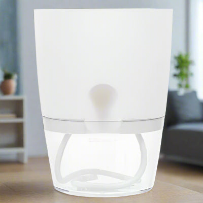 Pot de fleur transparent à arrosage automatique | Podor™ - JardinPam