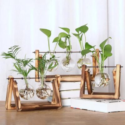 Vase hydroponique créatif | Vintage™ - JardinPam